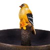 Maple Tree Resin Bird Bath - 4 of 4