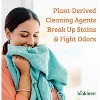 Biokleen Laundry Detergent - Citrus - Case of 6 - 64 Fl oz. - 3 of 4