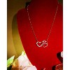 Maya's Grace Paw Print Heart Necklace for Dog and Cat Lovers - 4 of 4