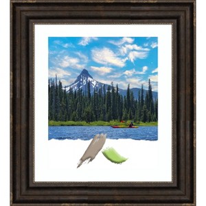 Amanti Art Stately Bronze Picture Frame - 1 of 4