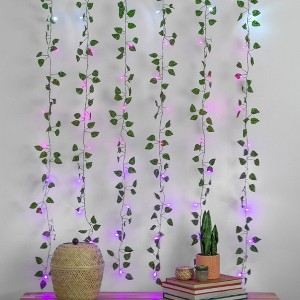 5' x 3.5' LED Vine Curtain String Lights Ombre - West & Arrow: Battery Operated, Indoor Use, Floral Theme - 1 of 3