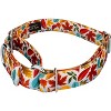 Country Brook Petz Martingale Dog Collar - Awesome Autumn Collection - 2 of 4