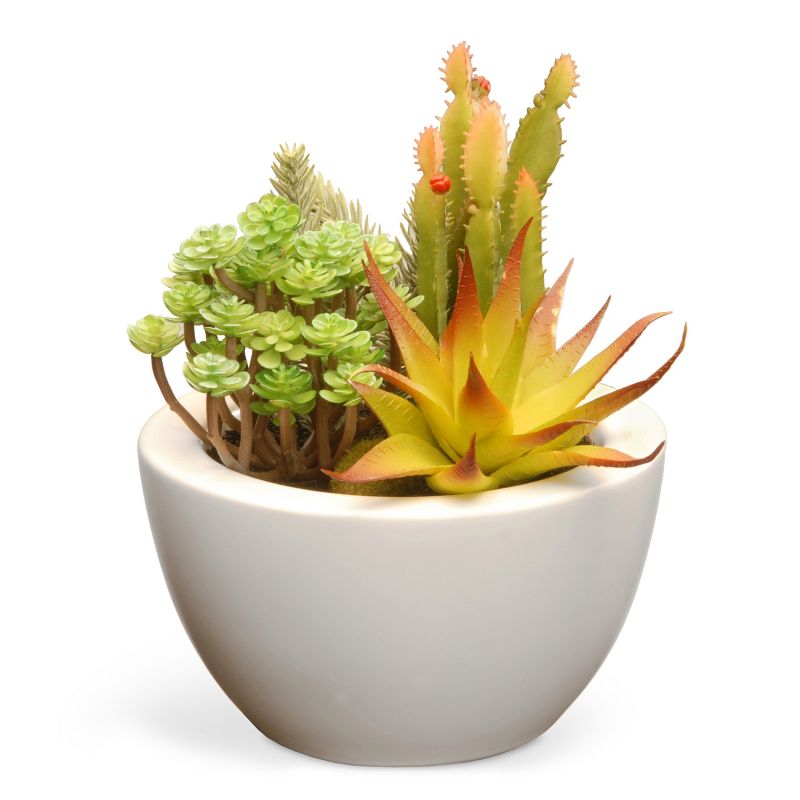 Artificial Succulent Plants 7.5&#34; - National Tree Company, 1 of 7