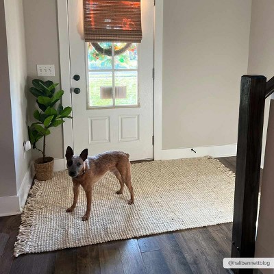 Beige Handwoven Jute Area Rug with Natural Fringe, 3' x 5'