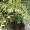 Sullivans Artificial Fern In Ball - 2 of 3