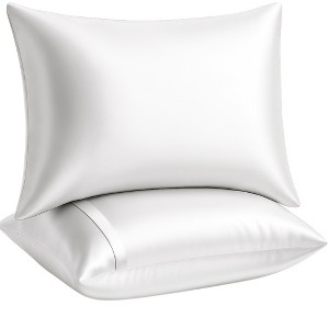 BLISSFORD Satin Pillowcase with Zipper, Satin Pillow Cases 2 Pack, Silk Pillow Cover - 1 of 4