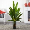HomeStock  4.5 ft. Artificial Palm Tree in Pot for Indoor/Outdoor - 4 of 4