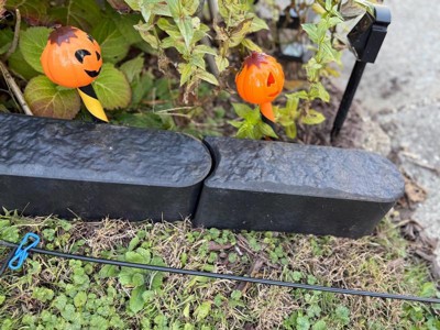 Guest review image 4 of 5, zoom in