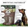 WhiteTail Naturals Deer Antler Dog Chew – Thick Medium 1-Pack – Natural, Long-Lasting, Odor-Free & USA Made - 4 of 4
