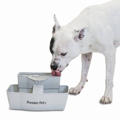 Premier Pet Automatic Water Fountain for Cats and Small Dogs - 100oz