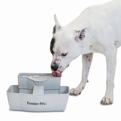 Premier Pet Pet Fountain - 100oz