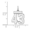Black Bow Jewelry Sterling Silver, Athletic Collection, Small Polished Number 43 Pendant - 4 of 4