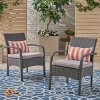 Outdoor PE Rattan Dining Chairs Set Of 2,Fabric Upholstered Dining Chair With Iron Frame,Rattan Patio Lounge Armrests Chair-Coolbibila - 2 of 4