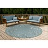 Liora Manne Carmel  Indoor/Outdoor Rug  Aqua.. - 2 of 4