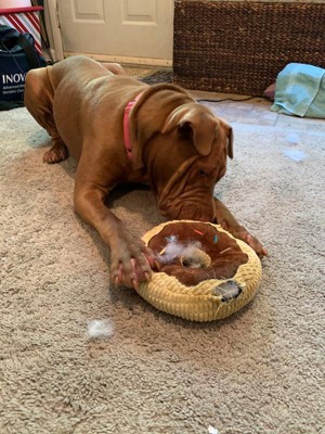 target donut dog toy