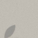 seth freakin rollins