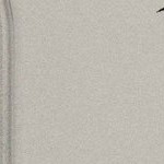 seth freakin rollins