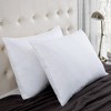 Peace Nest Gusseted Goose Down Feather Pillows Set of 2 - image 2 of 4