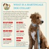Country Brook Petz HossFit Jr Wide Martingale Dog Collar - Sports and Athletics Collection - 4 of 4