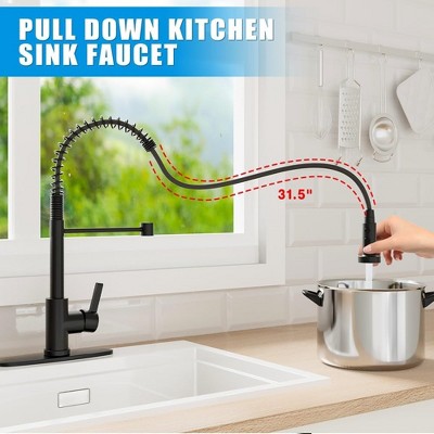 Kitchen Faucet