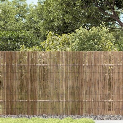 vidaXL Garden Fence 393.7"x31.5" Reed