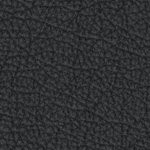 tampa bay buccaneers