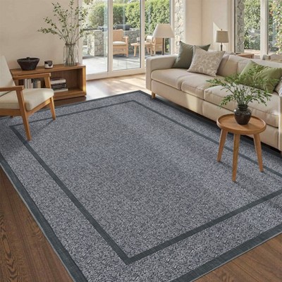 Rugs for Living Room Border Area Rug Non Slip Durable Floor Washable Carpet for High Traffic Areas Indoor Rug for Kitchen Kids Playroom