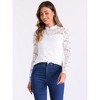 Allegra K Women's Semi Sheer Lace Long Sleeve Round Neck Work Casual Vintage Top - 4 of 4