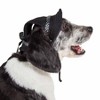 Pet Life Sea Spot Sun UV Protectant Adjustable Fashion Mesh Brimmed Dog Hat Cap, LG, Black - 3 of 4