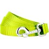Country Brook Petz Nylon Dog Leash (3/8 Inch Wide) - 3 of 4