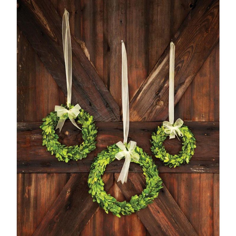 Park Hill Collection Preserved Boxwood Wreaths with Ivory Ribbon, 4 of 5