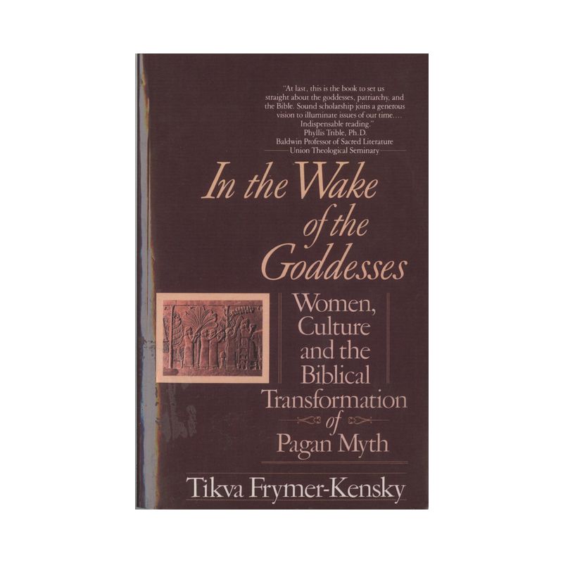 In the Wake of the Goddesses - by  Tikva Frymer-Kensky (Paperback), 1 of 2