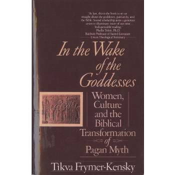 In the Wake of the Goddesses - by  Tikva Frymer-Kensky (Paperback)