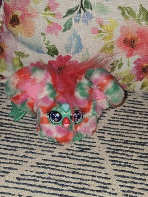 Guest review image 2 of 3, zoom in