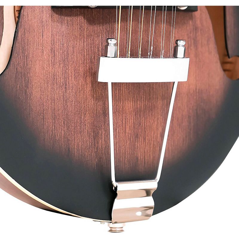 Gold Tone 12-string F-style Mando-Guitar With Pickup Tobacco Sunburst, 5 of 7
