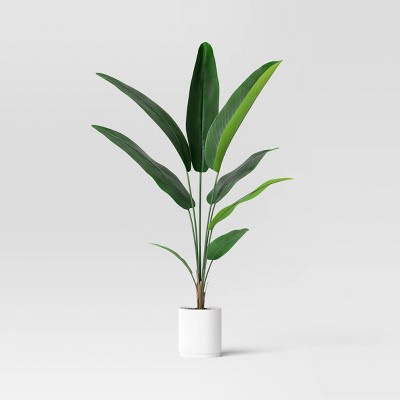 Winter : Fake Plants & Artificial Plants for Indoors : Target