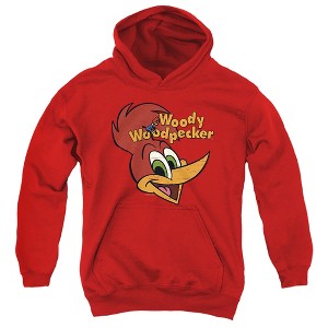 Boys’ Woody Woodpecker Retro Logo Hooded Sweatshirt - 1 of 4
