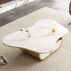 41.7" Sintered Stone Butterfly Coffee Table with Storage Shelf & Drawer and Stainless Steel Base for Living Room - 4 of 4