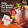 Craftmix Strawberry Mule 12 Pack - 4 of 4