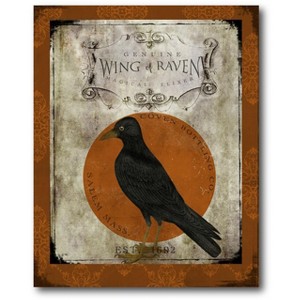 Courtside Market Raven 30x40 Gallery-Wrapped Canvas - 1 of 4