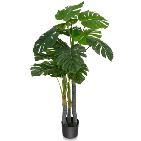 Fake Plants & Artificial Plants for Indoors : Target