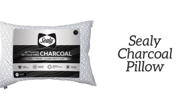 Hydraluxe metallics charcoal outlet pillow