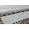 Rugs America Gallagher Vintage Transitional Area Rug - 4 of 4