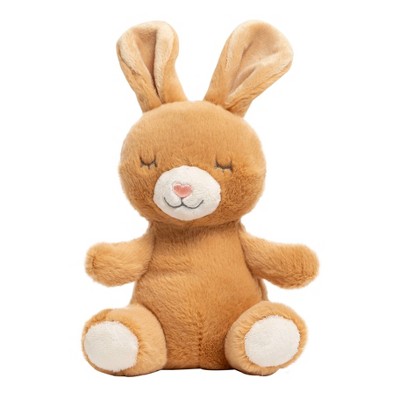 Pearhead Plush Toy - Easter Bunny Stuffed Animal