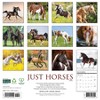 Willow Creek Press 2026 Horses Wall Calendar - 2 of 4