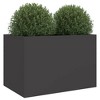 Aghana Digitals Black Minimalist Cold-Rolled Steel Planter: Indoor/Outdoor Rectangular - 4 of 4