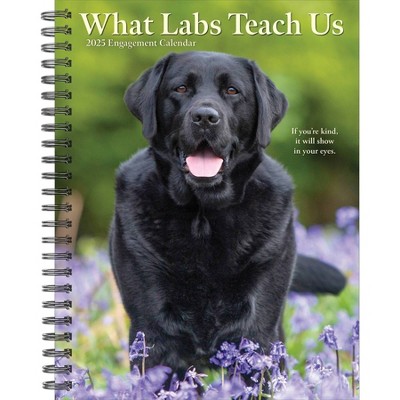 Willow Creek Press What Labs Teach Us 2025 Engagement Calendar: Weekly Planner, Spiral Binding, 6.5x8.525", All Ages
