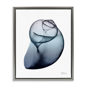 Stupell Industries Contemporary Snail Shell, 25" x 31" - 1 of 4