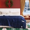 Bedsure Heated Blanket - Fast Heating Electric Blanket Soft Flannel Heated Throw Warm Gifts for Family - 3 of 4