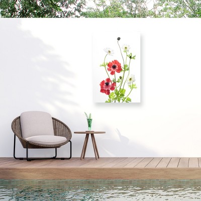 Trademark Fine Art - Ipuravida  Spring Anemone Family Matted Framed Art